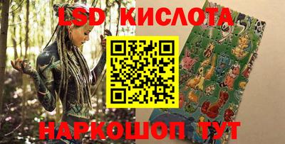 сатива Кандалакша
