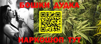 сатива Кандалакша