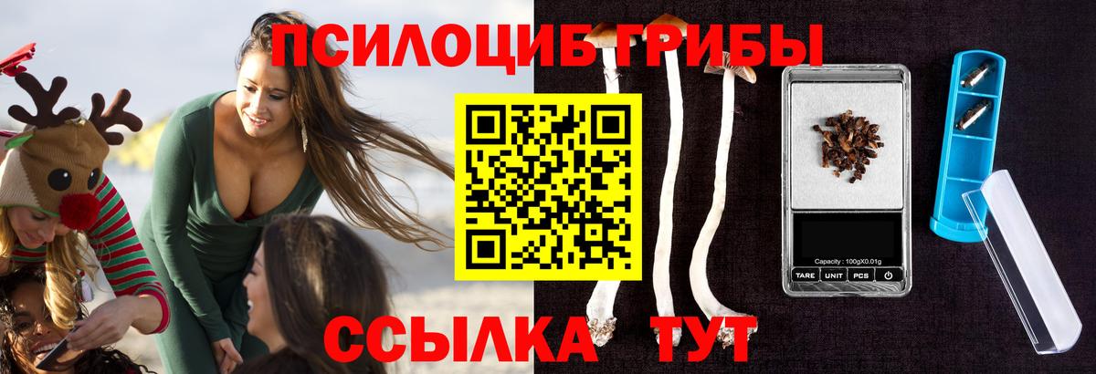 Галлюциногенные грибы GOLDEN TEACHER Дальнереченск